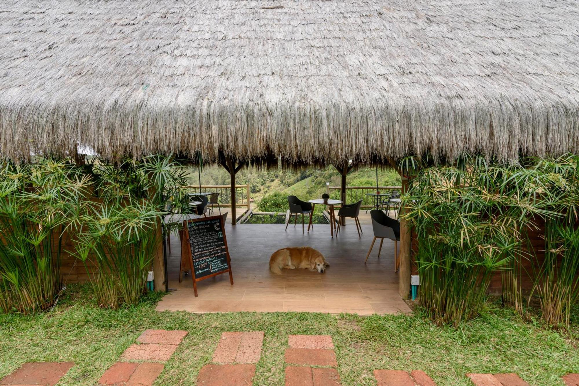 Levit Glamping - Hotel Guatape Penol (Adults Only) エクステリア 写真